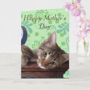 Carte Fête des Mères Cute Kitten