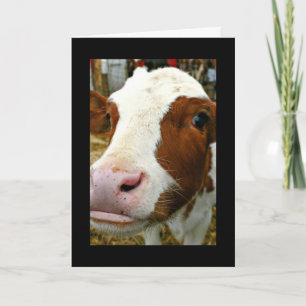 Carte Fête des mères de tante Cool âgée avec vache
