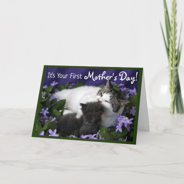 Carte Fête des Mères - Momma Chat et Kitten (Devant)