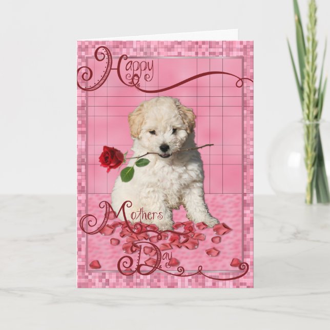 Carte Fête des mères - Rose rouge - Bichon Frise Puppy (Devant)