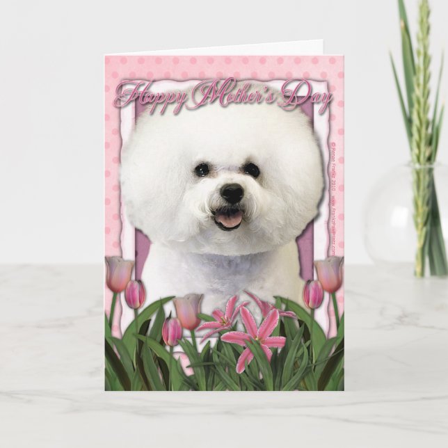Carte Fête des mères - Tulipes roses - Bichon Frise (Devant)