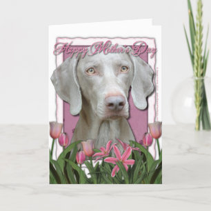 Carte Fête des mères - Tulipes roses - Weimaraner - Yeux