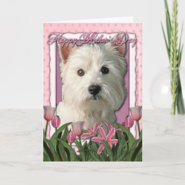 Carte Fête des mères - Tulipes roses - West Highland Ter (Devant)