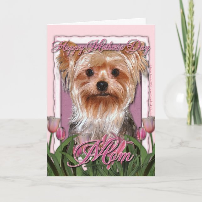 Carte Fête des mères - Tulipes roses - Yorkshire Terrier (Devant)