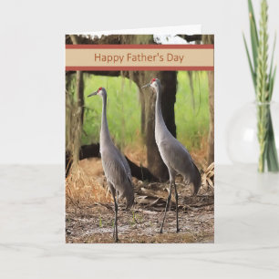 Carte fête des pères avec Grues Sandhill