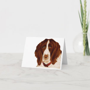 Carte Fête des pères Springer Spaniel