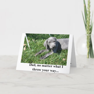 Carte fête des pères : Weimaraner