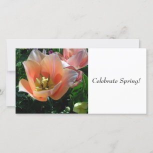 Carte Fêtez le printemps !