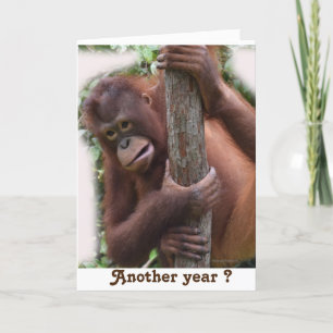Carte Fêtons un autre anniversaire