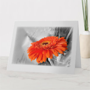 Carte Feu sur les pétales