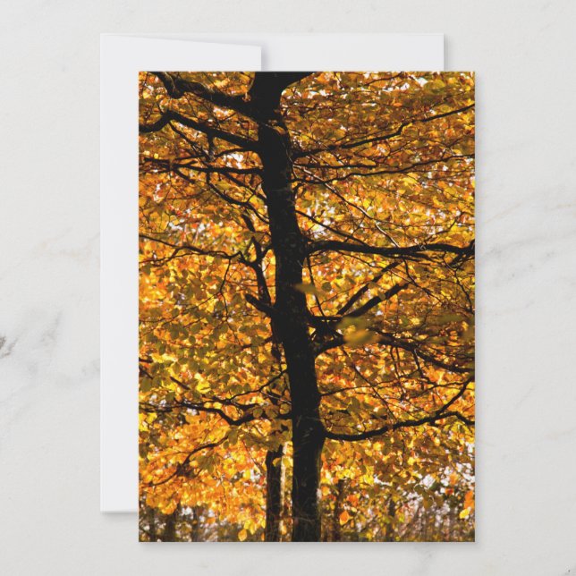 Carte Feuillage d'automne (Devant)