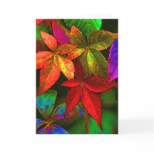 Carte feuille colorée brillante