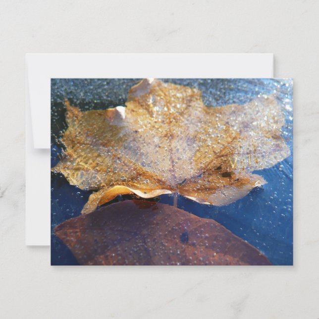 Carte Feuille d'érable jaune congelée Automne Nature (Devant)