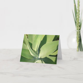 Carte Feuille et ombres v2