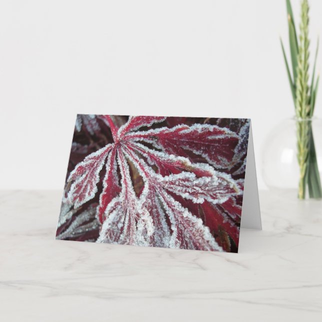 Carte Feuille givrée brouillée (Devant)