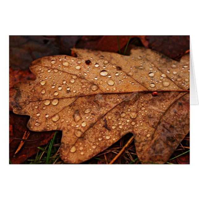 Carte feuille jaune d'automne (Devant horizontal)