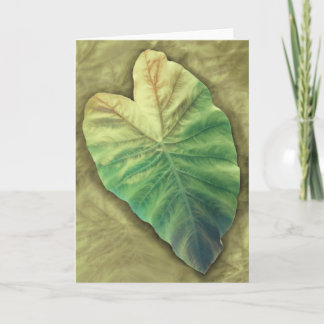 Carte Feuille ombragée