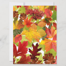 Carte Feuilles automnales d'automne