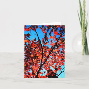 Carte Feuilles d'automne