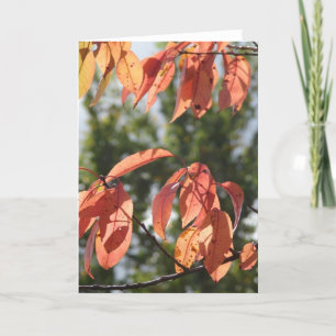 Carte Feuilles d'automne