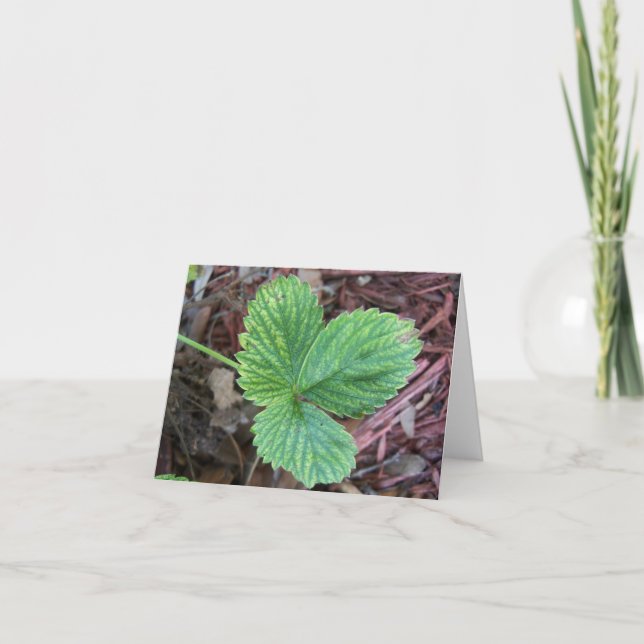 Carte Feuilles de fraises texturées (Devant)