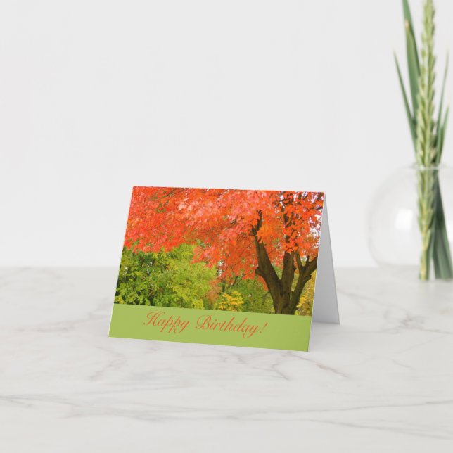 CARTE FEUILLES ORANGE CLAIR SUR L'ARBRE /JOLIE ANNIVERSA (Devant)
