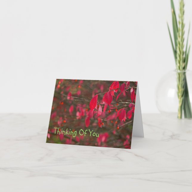 CARTE "FEUILLES ROUGES" (Devant)