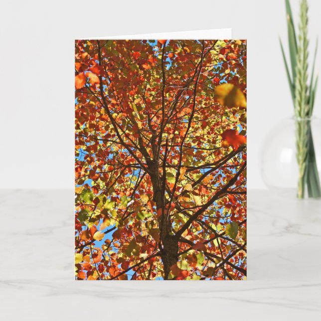 Carte Feux d'artifice d'automne (Devant)