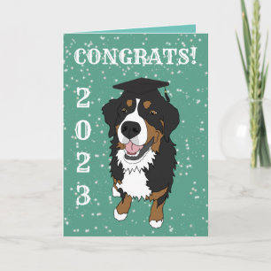 Carte Fiche de diplôme Bernese Mountain Dog Card