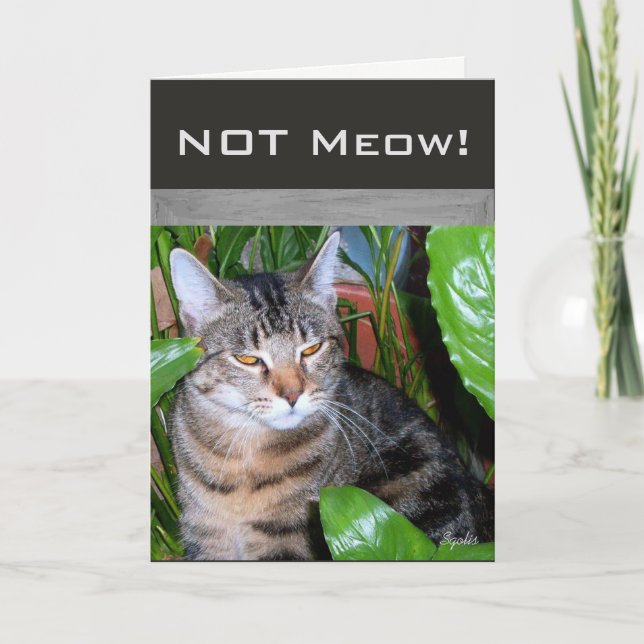 Carte Fiche de note de chat pour l'expression amusante " (Devant)