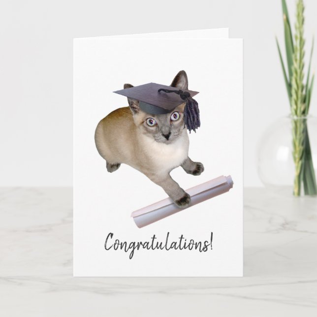 Carte Fiche d'études sur les chats (Devant)