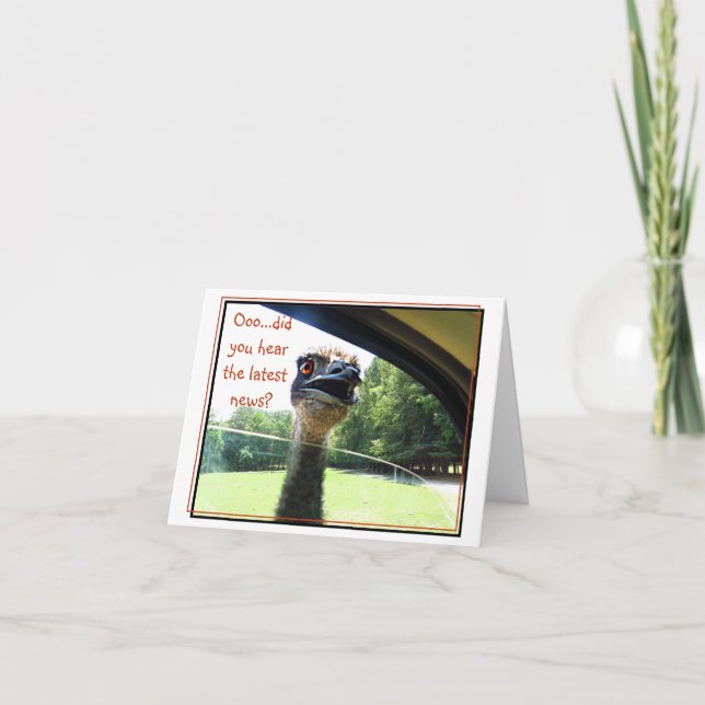 Carte Fiche d'information amusante Emu (Devant)