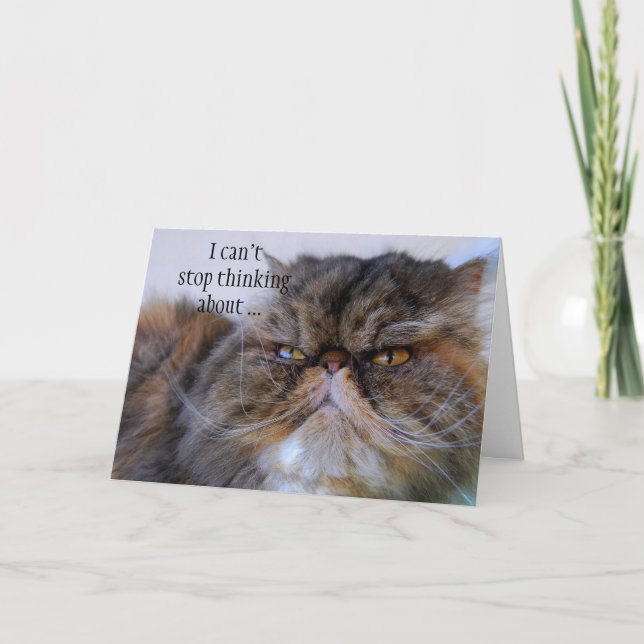 Carte fière de Kitty de Persan de calicot de Merci (Devant)