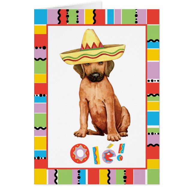 Carte Fiesta Rhodesian Ridgeback (Devant)