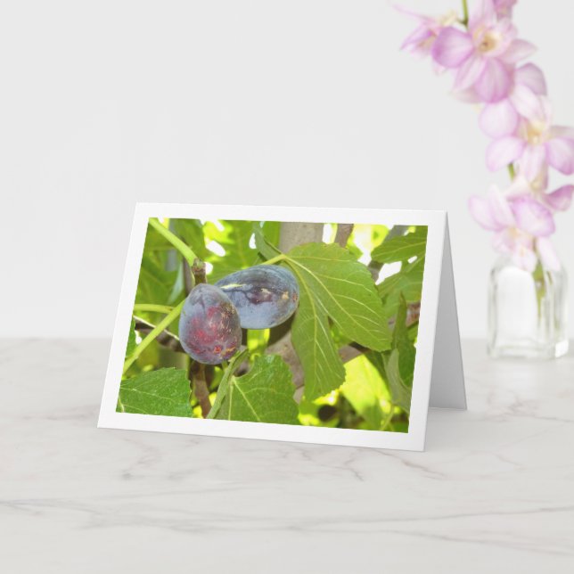 Carte Figes sur le portrait de l'arbre (Orchidée)