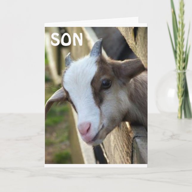 CARTE **FILS DE L'ANNÉE** ET JEUX ANNIVERSAIRE (Devant)