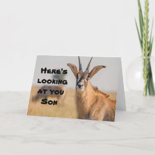 CARTE * FILS* VOUS REGARDE LE SOUHAIT DE "FÊTE DES PÈRES
