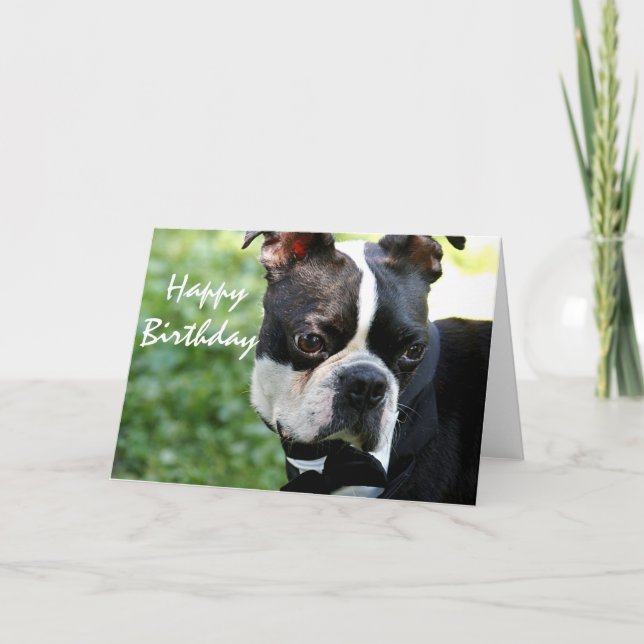 Carte Fin mignonne de terrier de Boston vers le haut de (Devant)