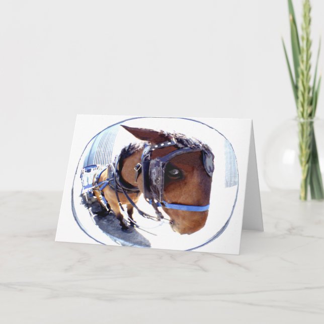 Carte Fish-Eye Horse and Carriage (Devant)
