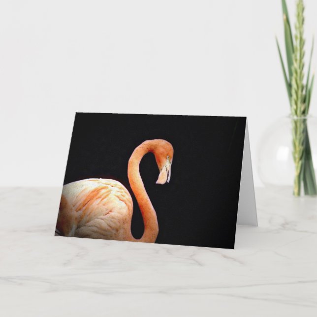 Carte Flamant rose (Devant)