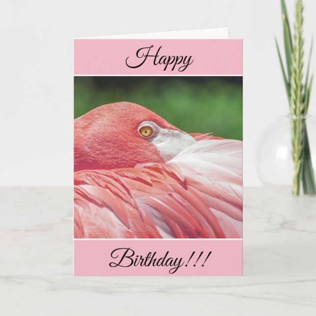 Carte Flamant rose d'anniversaire personnalisée (Devant)
