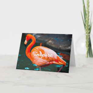 Carte Flamant rose rose Photo Inspiration Script élégant