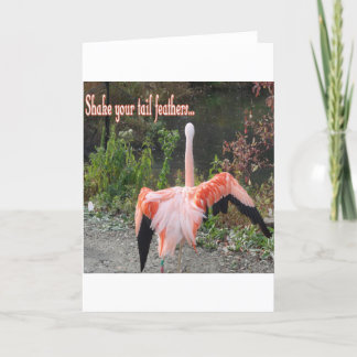 Carte Flamants roses