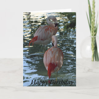 Carte Flamants roses