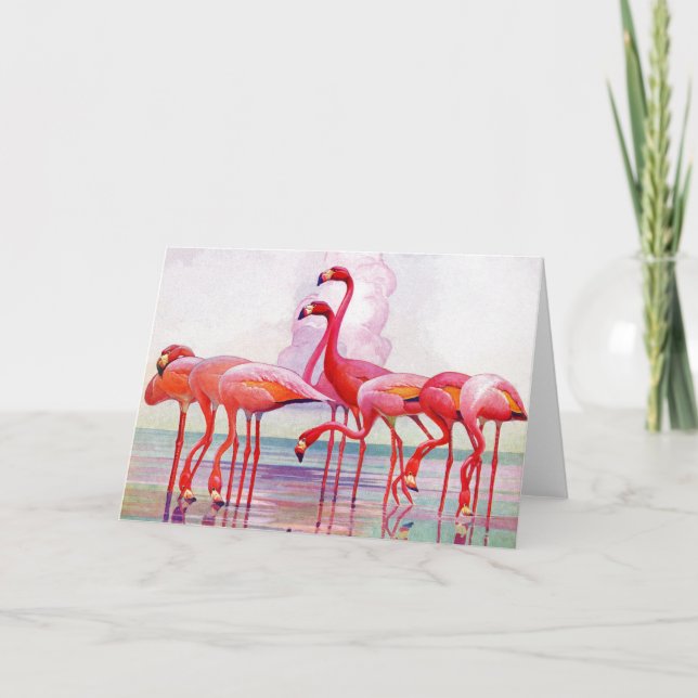 Carte Flamants roses roses par Francis Lee Jacques (Devant)