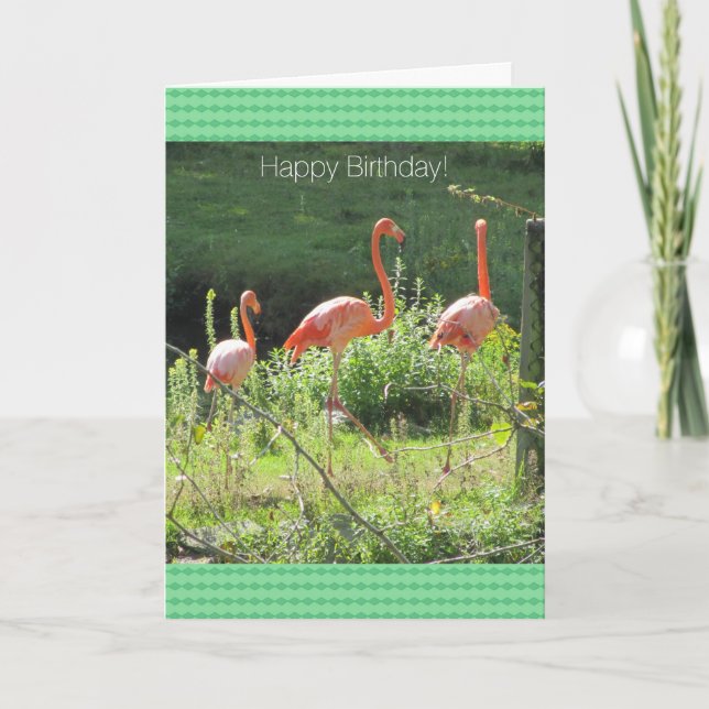 Carte Flamants roses roses voeux d'anniversaire (Devant)