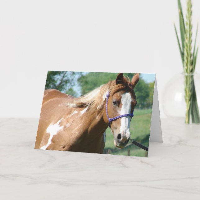 Carte Flashy sur la Lungeline (Devant)