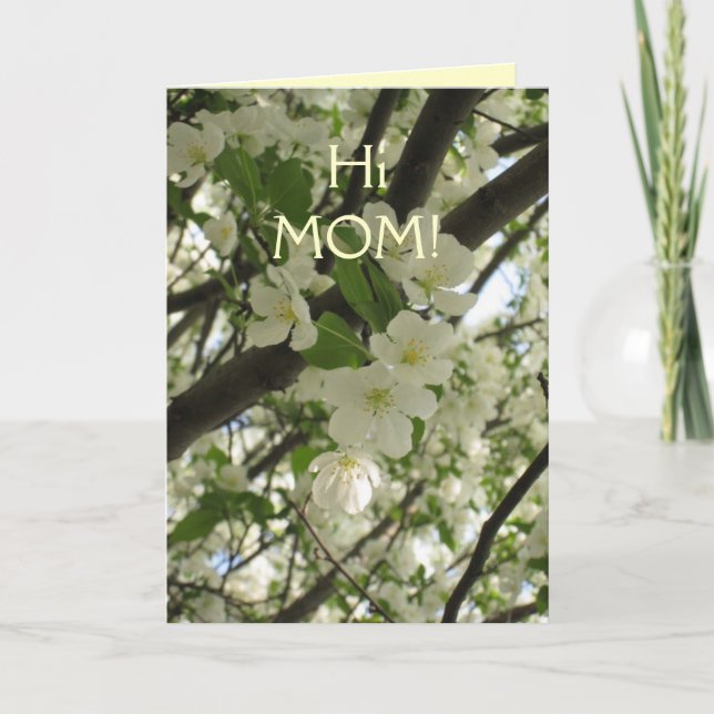 Carte fleoms7, HiMOM ! (Devant)