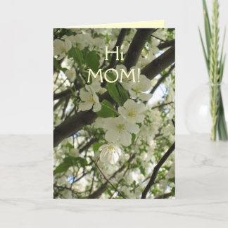 Carte fleoms7, HiMOM !