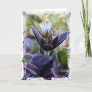 Carte Fleur